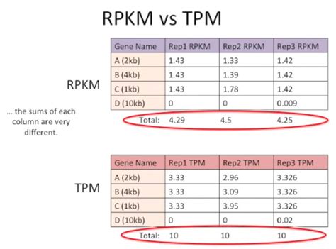 Moreover, StringTie output is only TPM and you have to run prepDE. . Tpm deseq2